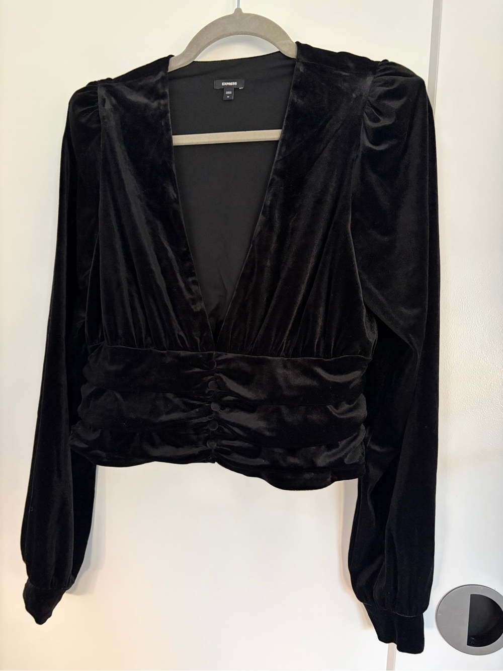 Express Black Velvet V-Neck Long Sleeve Crop Top